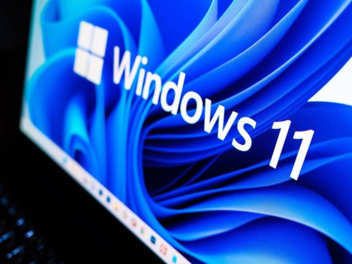 Skip the Update Step in Windows 11 Installation